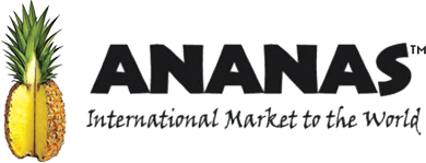 AnanasLogo2-Temp